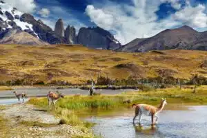 Landschap Patagonië
