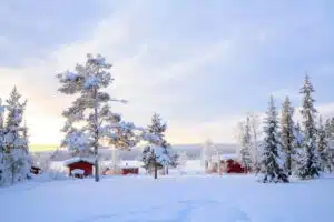Winterwonderland Fins Lapland