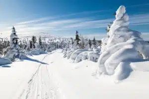 Winterwonderland Lapland