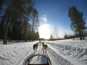 Rondreis door Lapland - Inspiratie