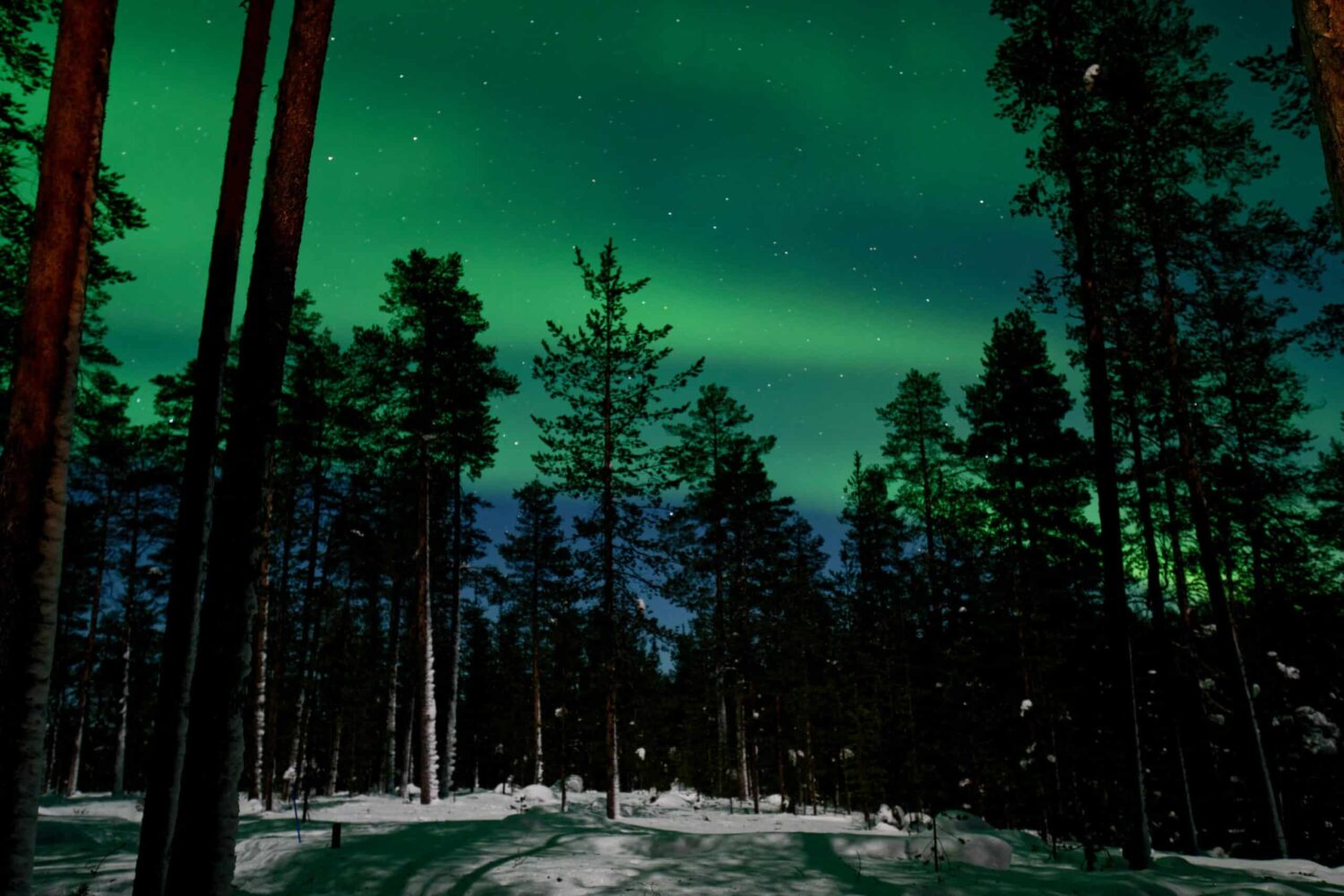 Noorderlicht zien in Lapland