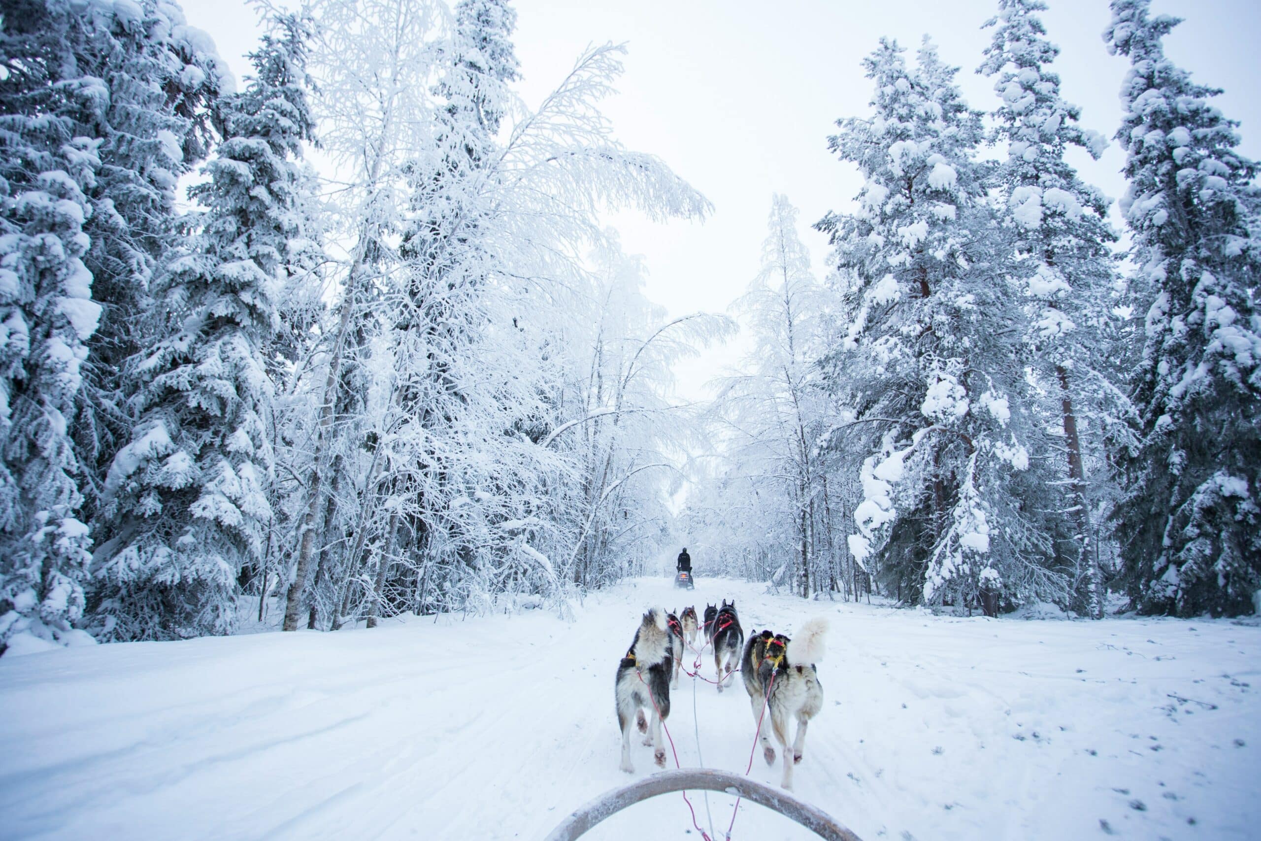 Kerst in Lapland