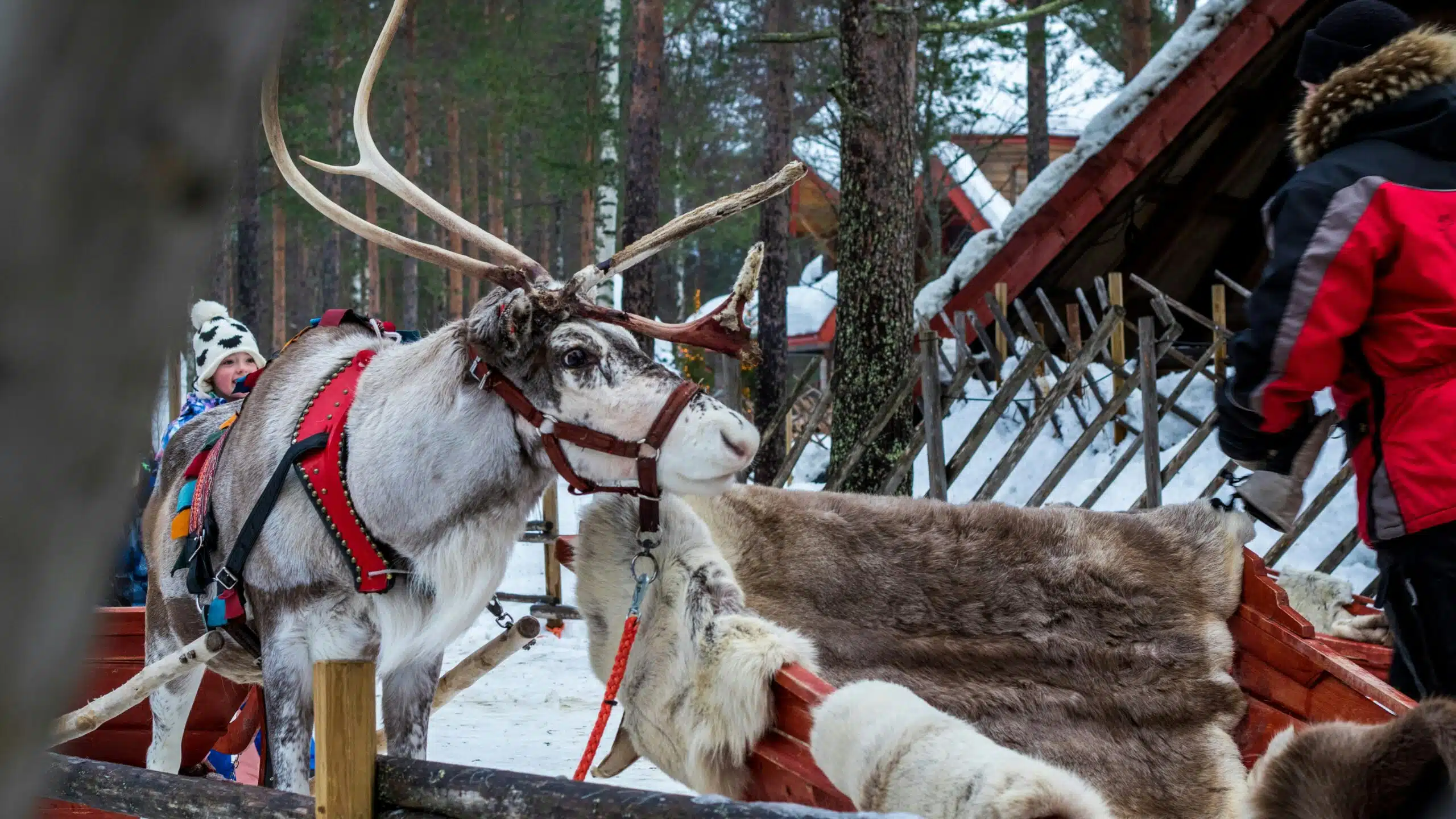 Kerst in Lapland